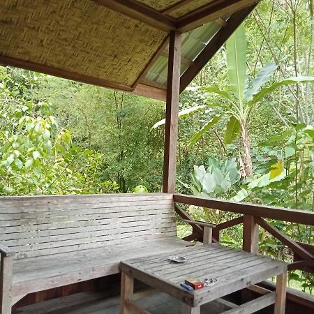 Thousand Hills Ketambe ,Room And Treking Lhokuenam Exterior foto