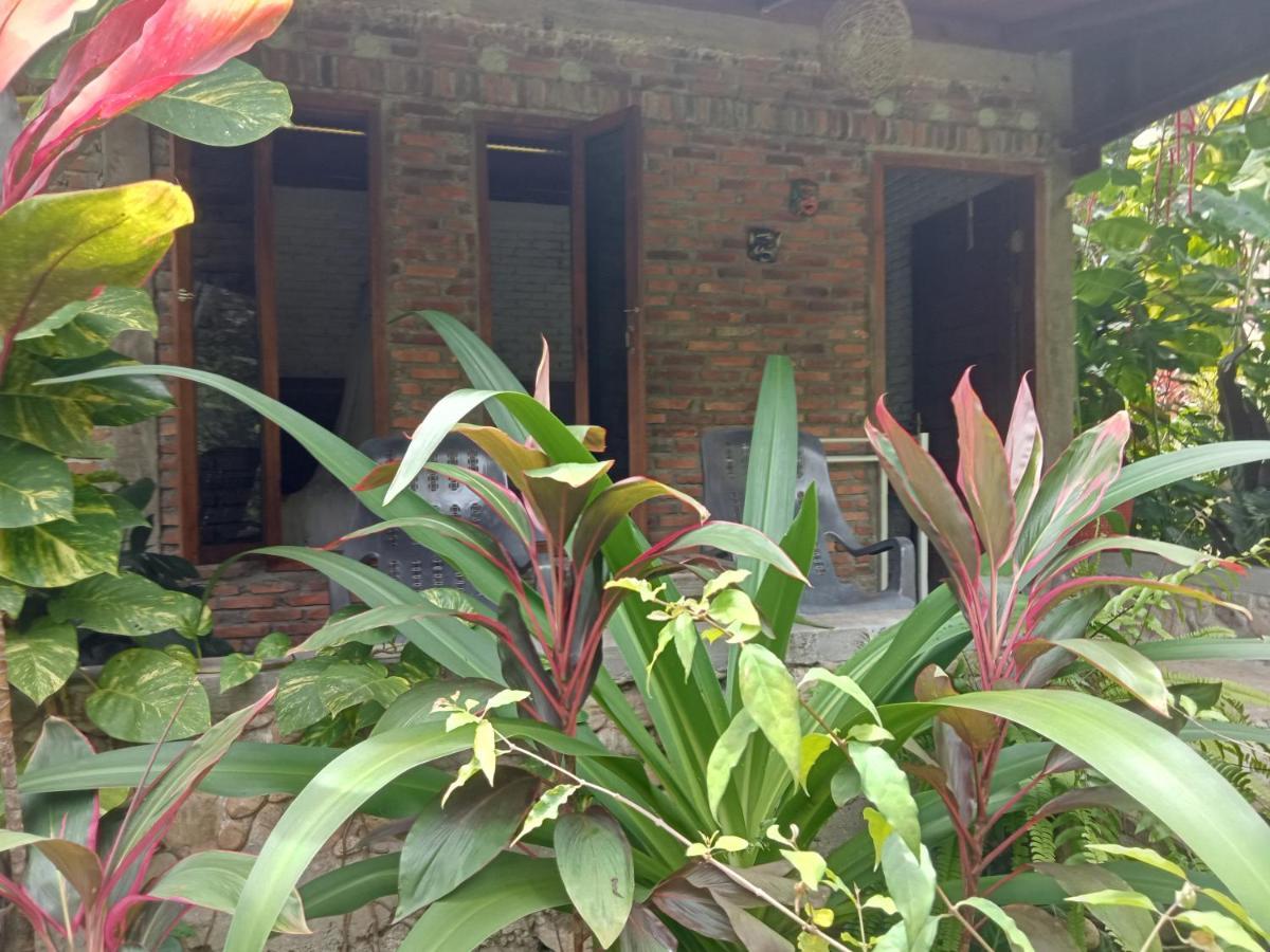 Thousand Hills Ketambe ,Room And Treking Lhokuenam Exterior foto