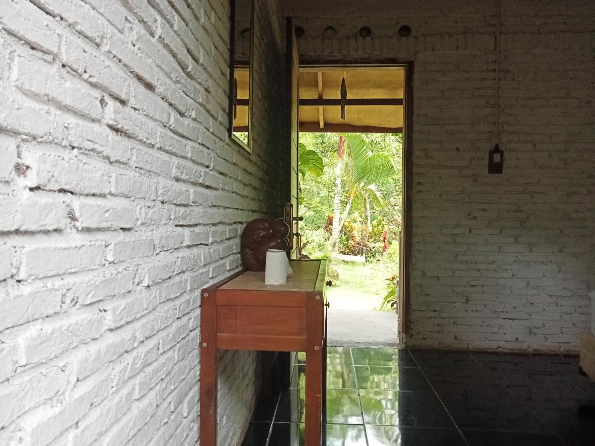 Thousand Hills Ketambe ,Room And Treking Lhokuenam Exterior foto
