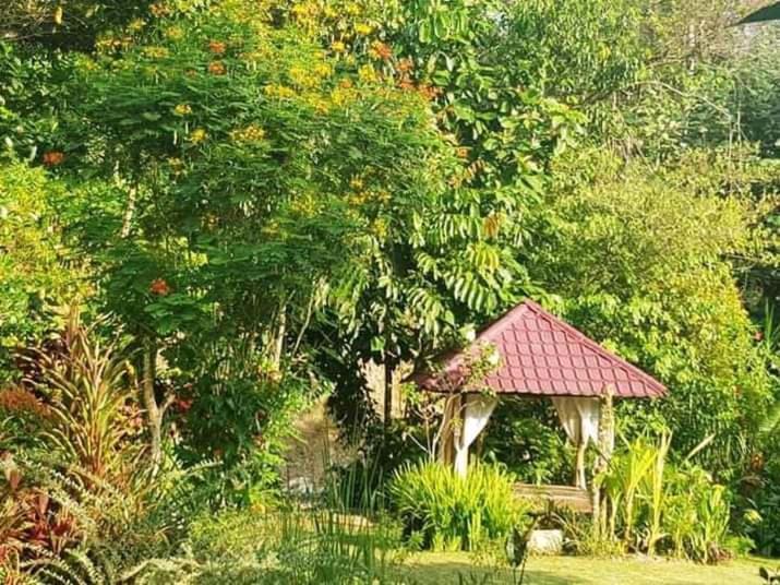 Thousand Hills Ketambe ,Room And Treking Lhokuenam Exterior foto