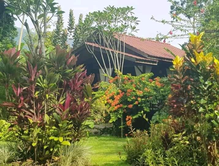 Thousand Hills Ketambe ,Room And Treking Lhokuenam Exterior foto