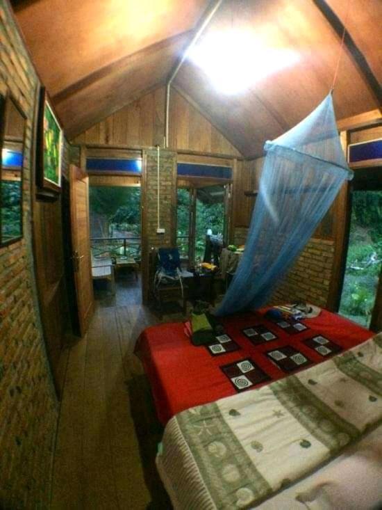Thousand Hills Ketambe ,Room And Treking Lhokuenam Exterior foto