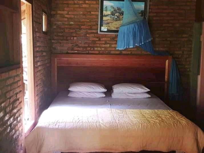 Thousand Hills Ketambe ,Room And Treking Lhokuenam Exterior foto